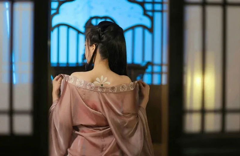 侠女逍遥录 侠女逍遥录汉化版下载PC版 封面图