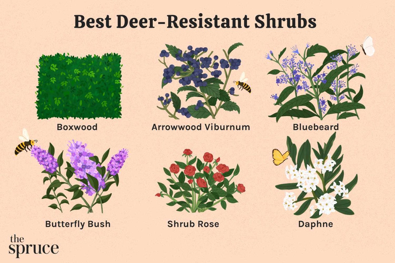 Are Azaleas Deer Resistant?