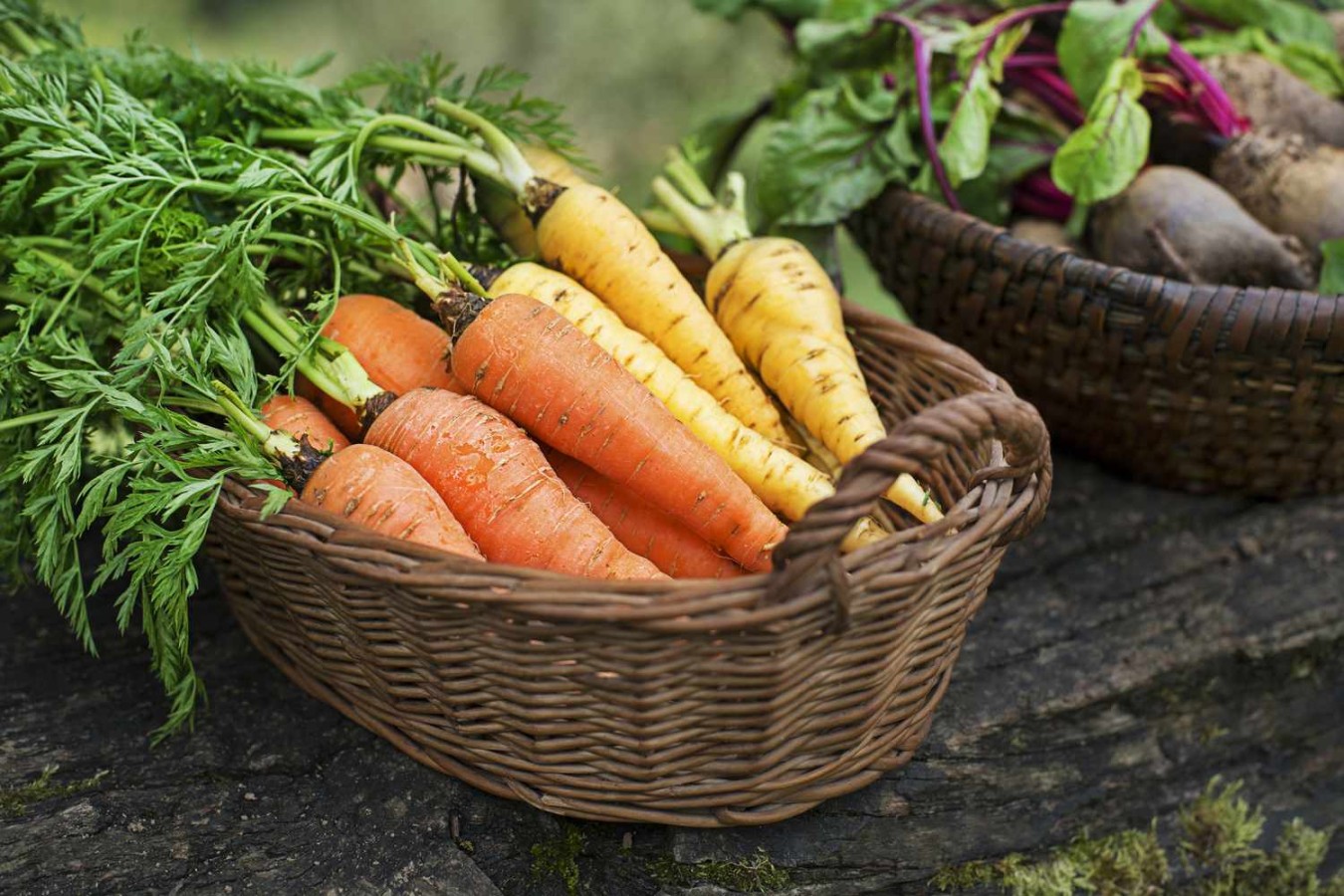 Fall Harvest Vegetables: A Bountiful Autumn Harvest