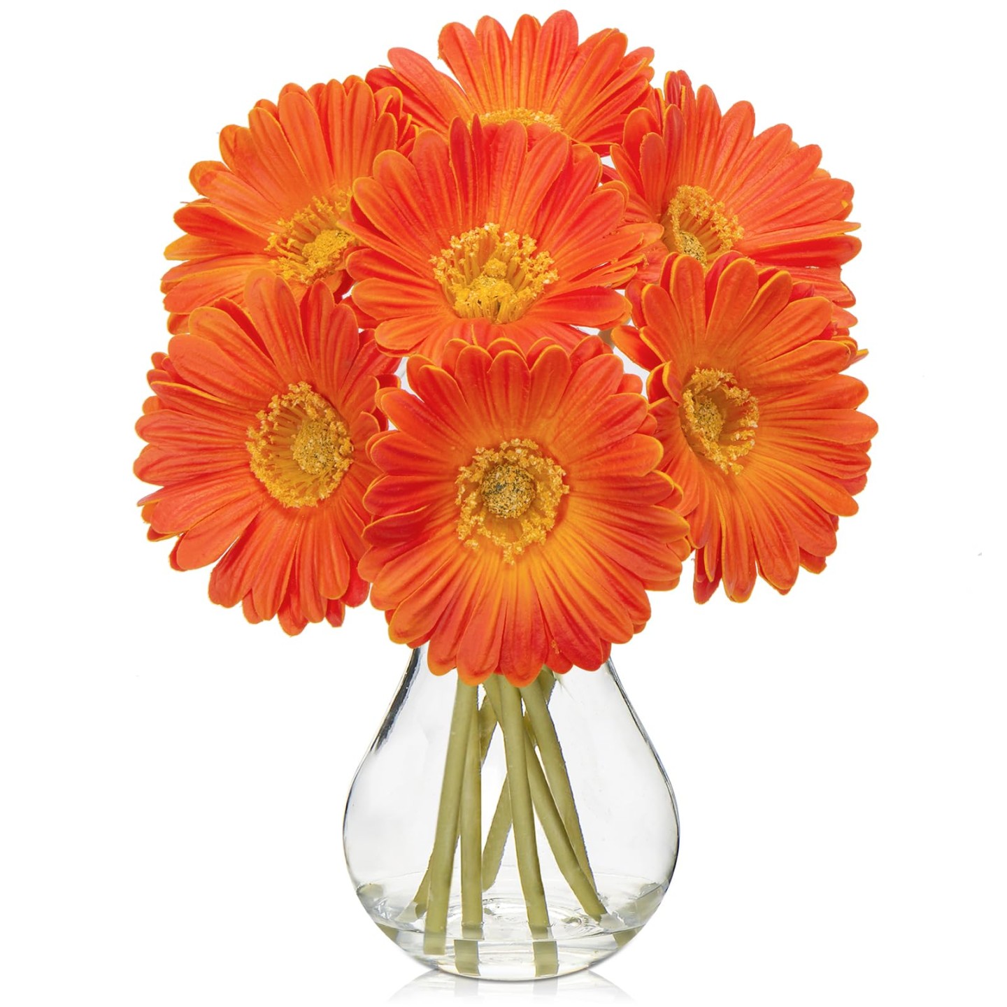 Gerbera Daisy: A Vibrant Burst Of Color