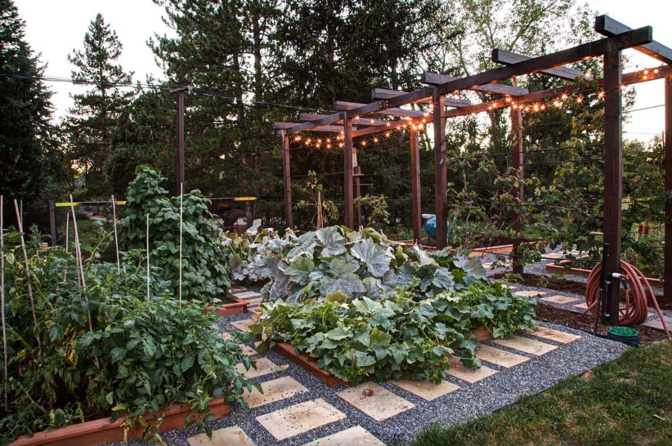 Vegetable Garden Ideas: Planting, Growing, And Harvesting Your Own Fresh Produce