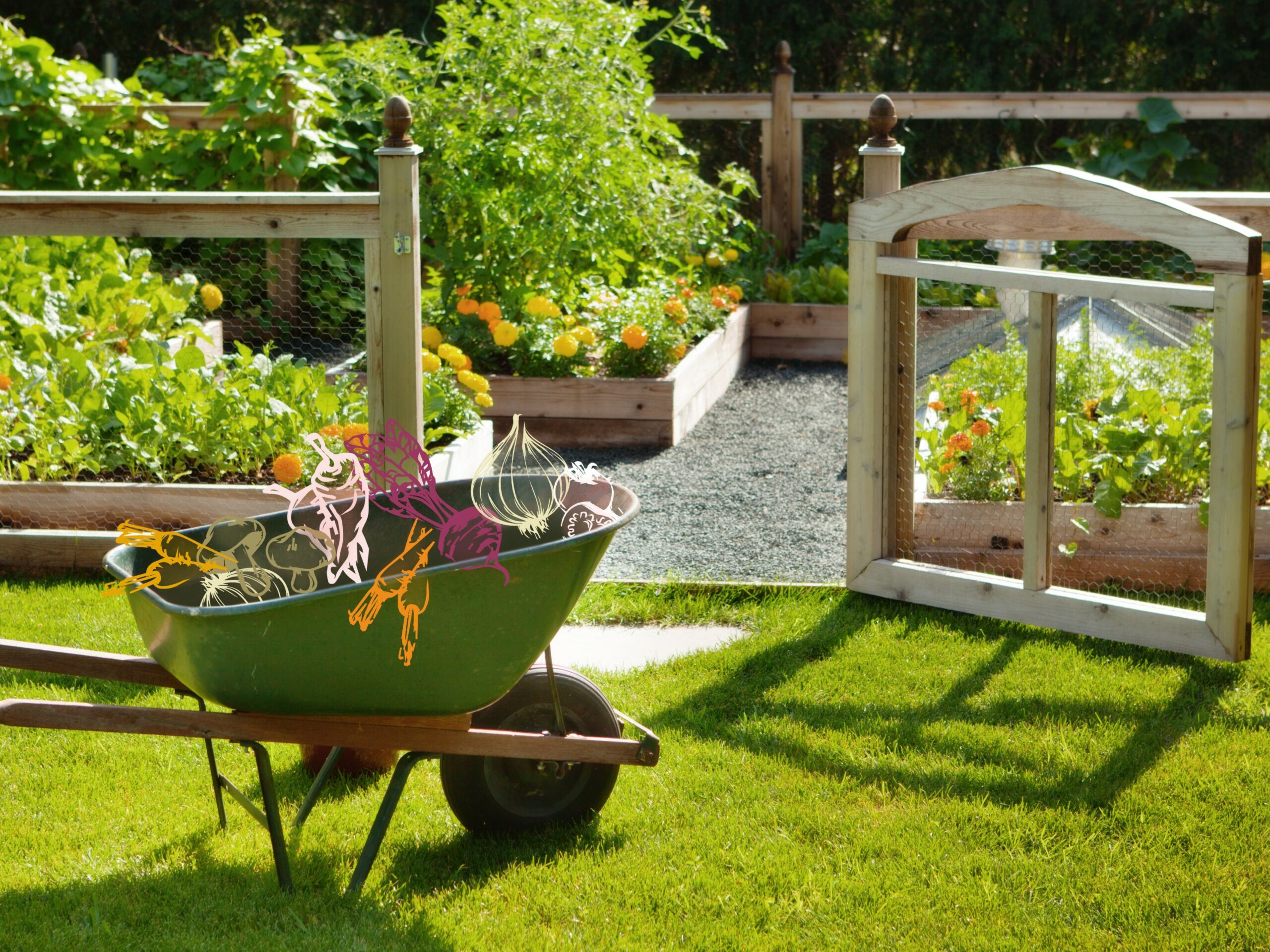 Basic Garden Ideas: A Beginner’s Guide To Greenery