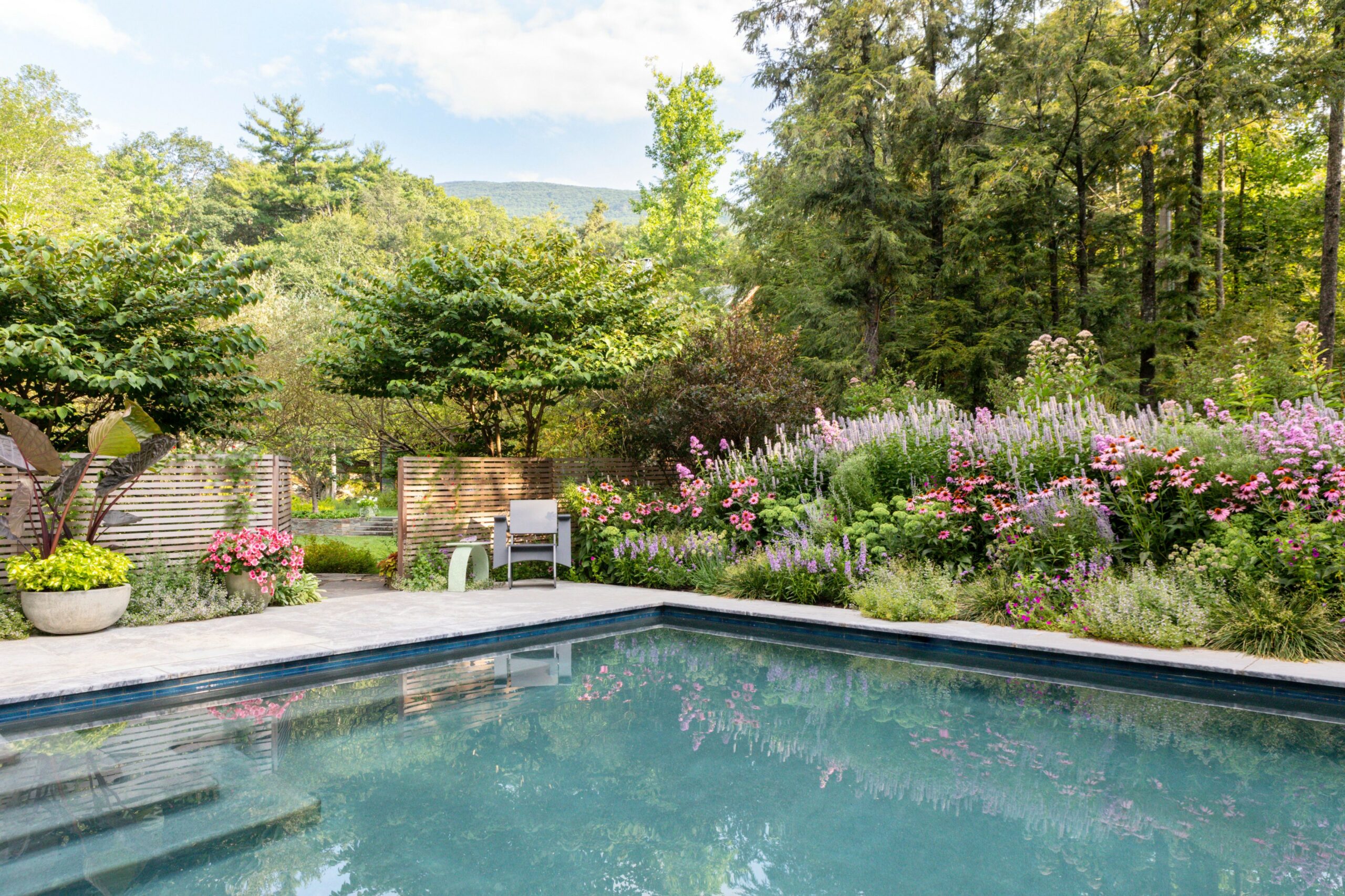 Rectangle Pool Landscaping Ideas: Creating Your Dream Outdoor Oasis