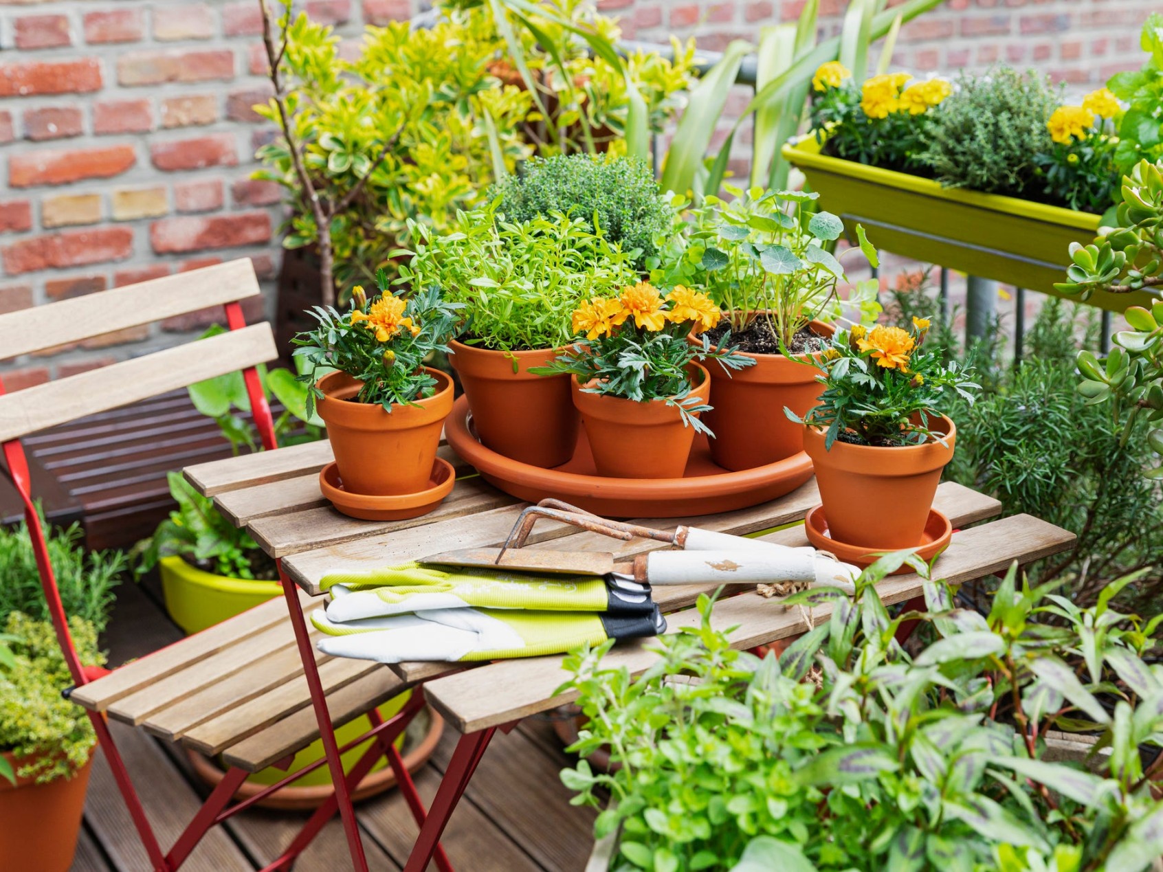 Tiny Garden Ideas: Big Inspiration In Small Spaces