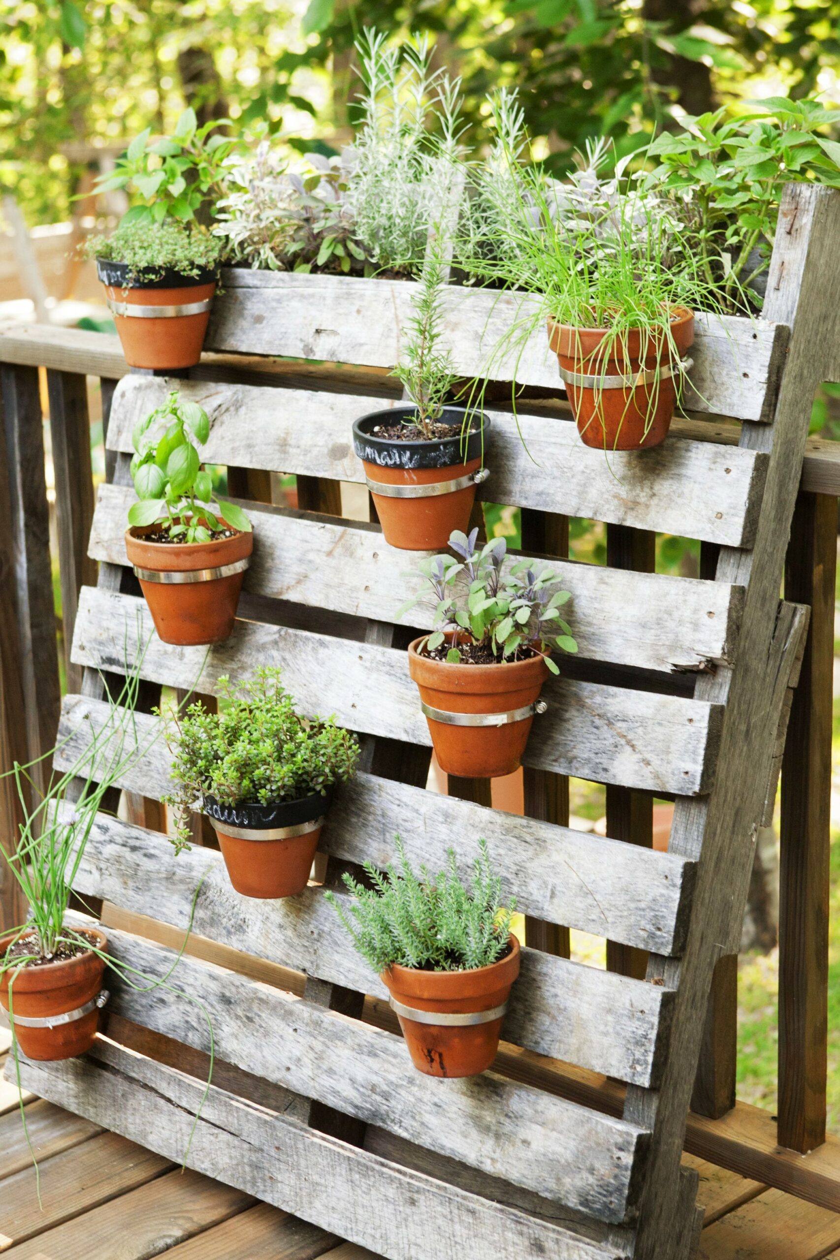 Garden Ideas DIY