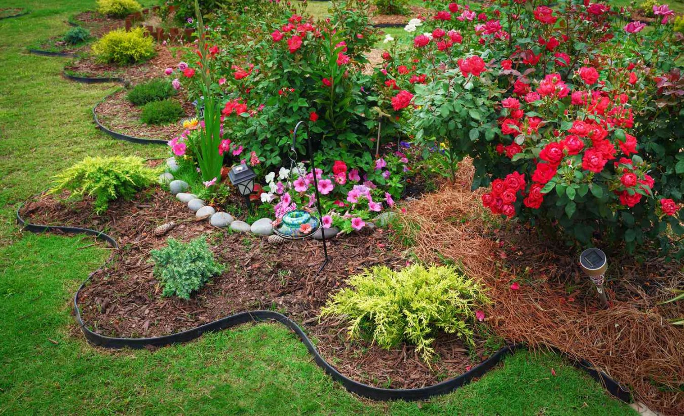 Cheap Garden Edging Ideas