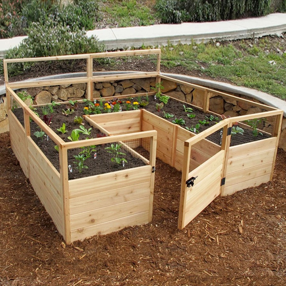 Garden Boxes: Cultivate Your Urban Oasis