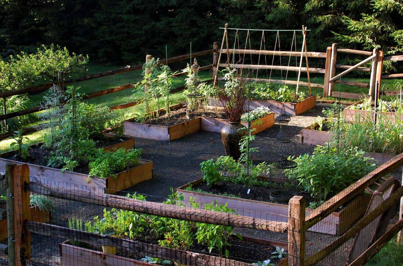 Raised Bed Garden Plans