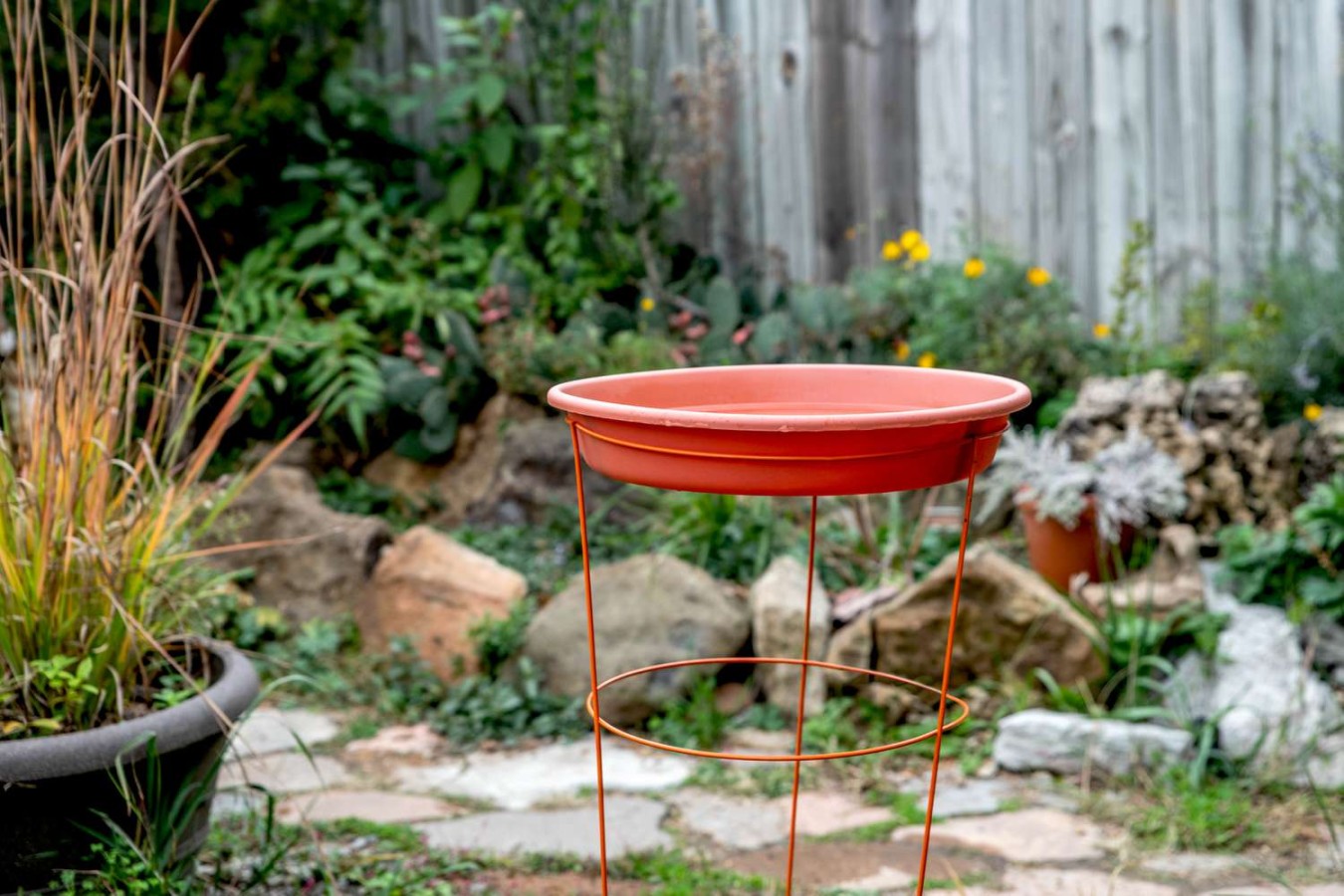 Bird Bath Ideas