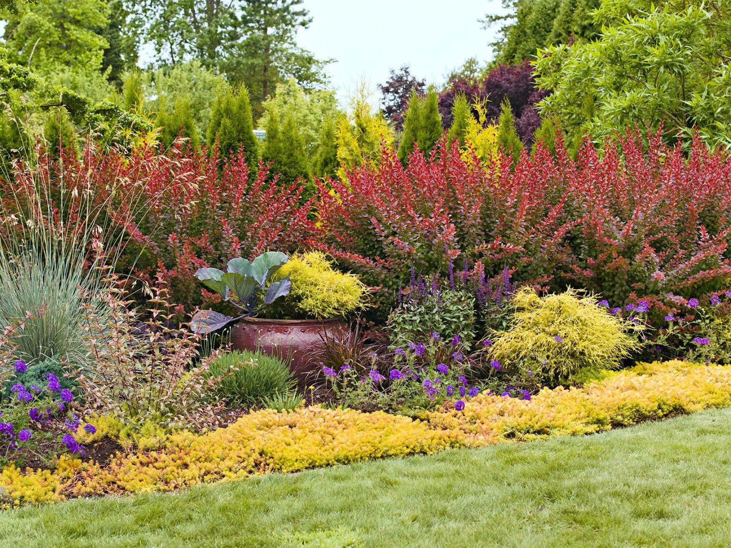 Easy Landscaping Ideas: A Beginner’s Guide