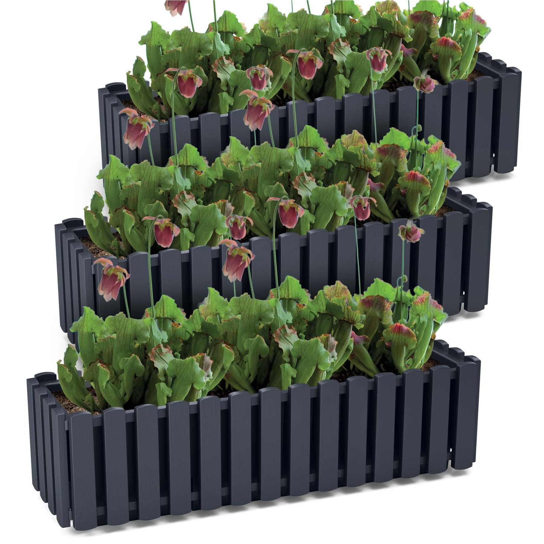 Fence Flower Box: A Blooming Solution For Your Outdoor Space