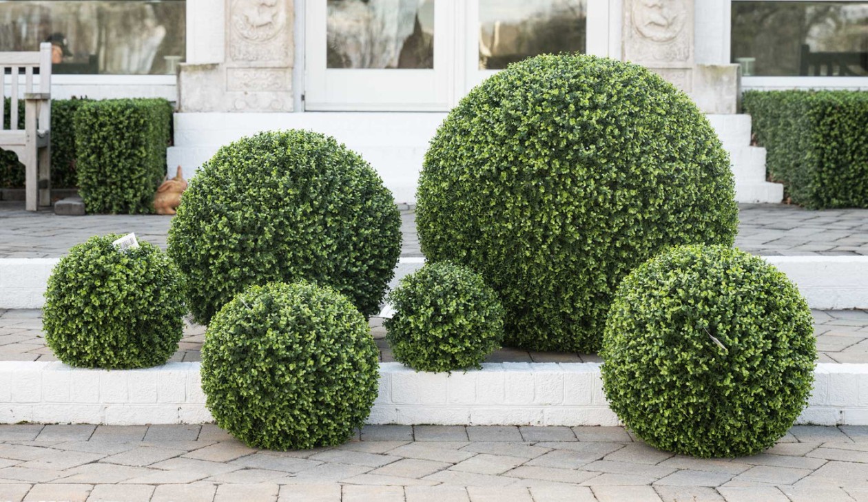 Topiary Balls: A Timeless Garden Delight