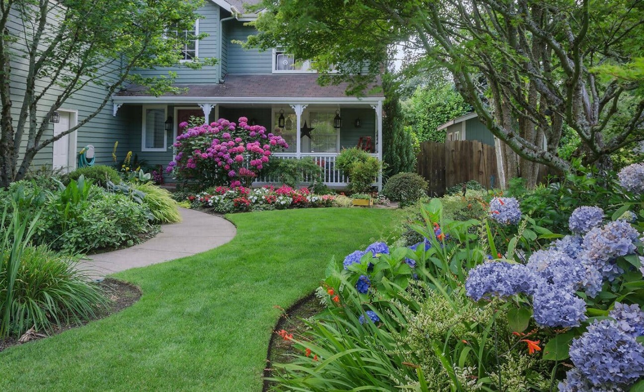 Front Yard Landscaping