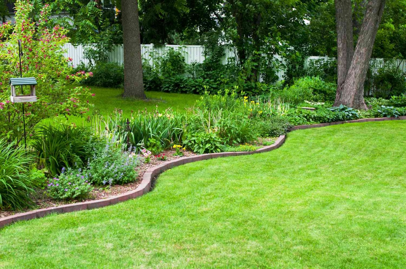 Grass Edging Ideas: A Neat And Tidy Lawn