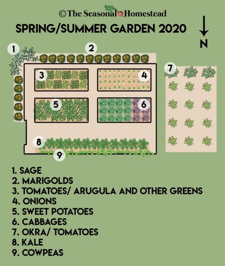 Garden Layout: Designing Your Outdoor Oasis