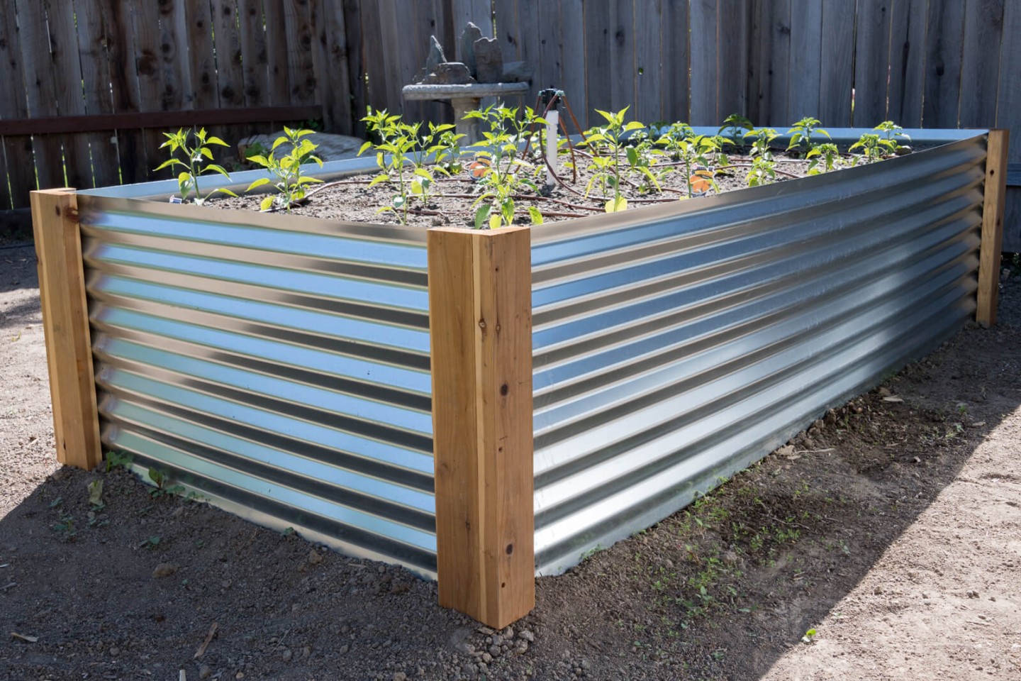 Corrugated Steel Garden Bed: A Modern Solution For Your Backyard