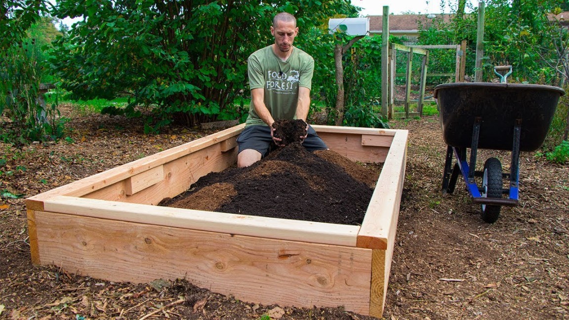 Easy Raised Beds: Gardening Simplified