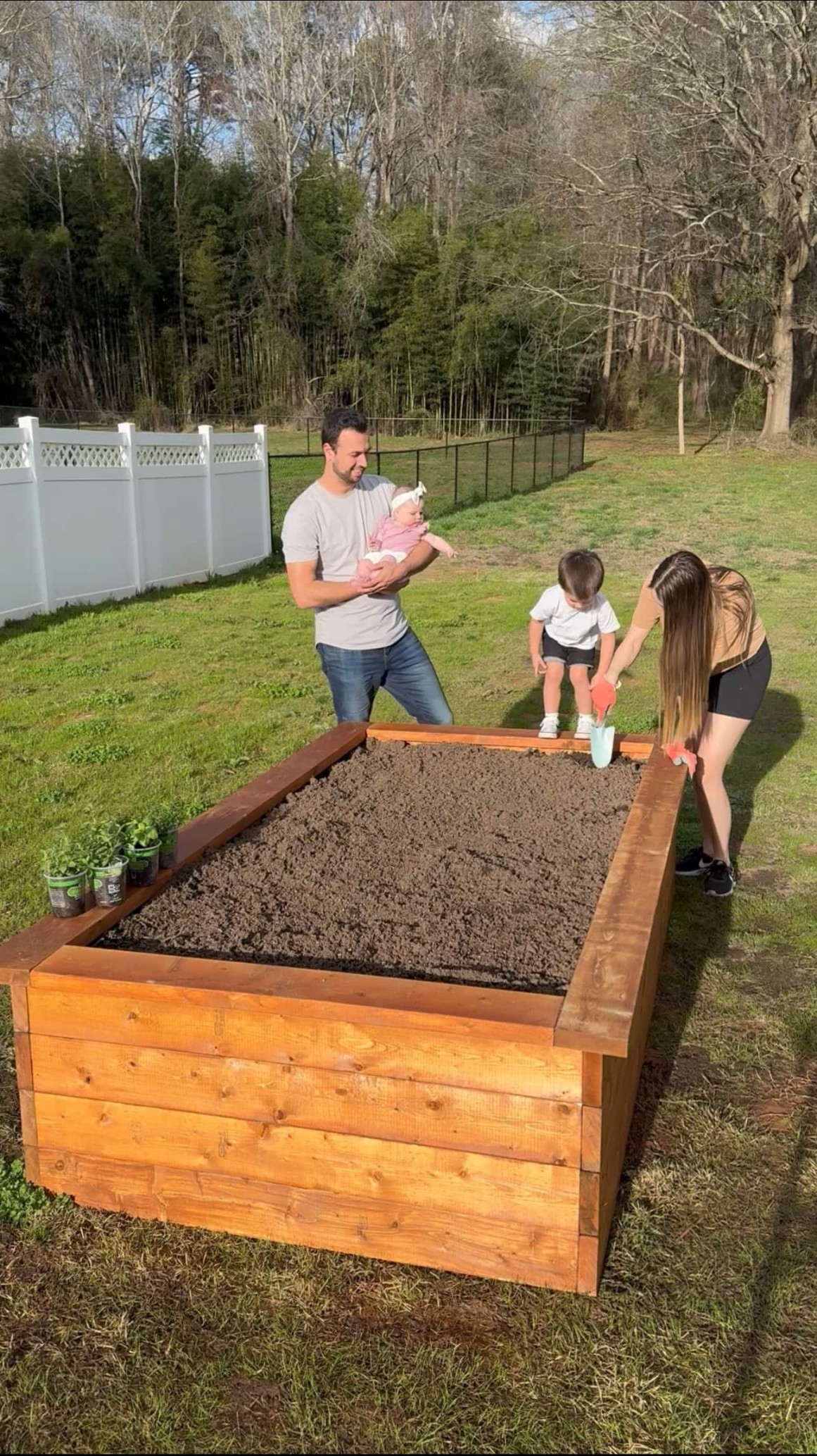 Raised Bed Ideas: Grow More, Grow Better