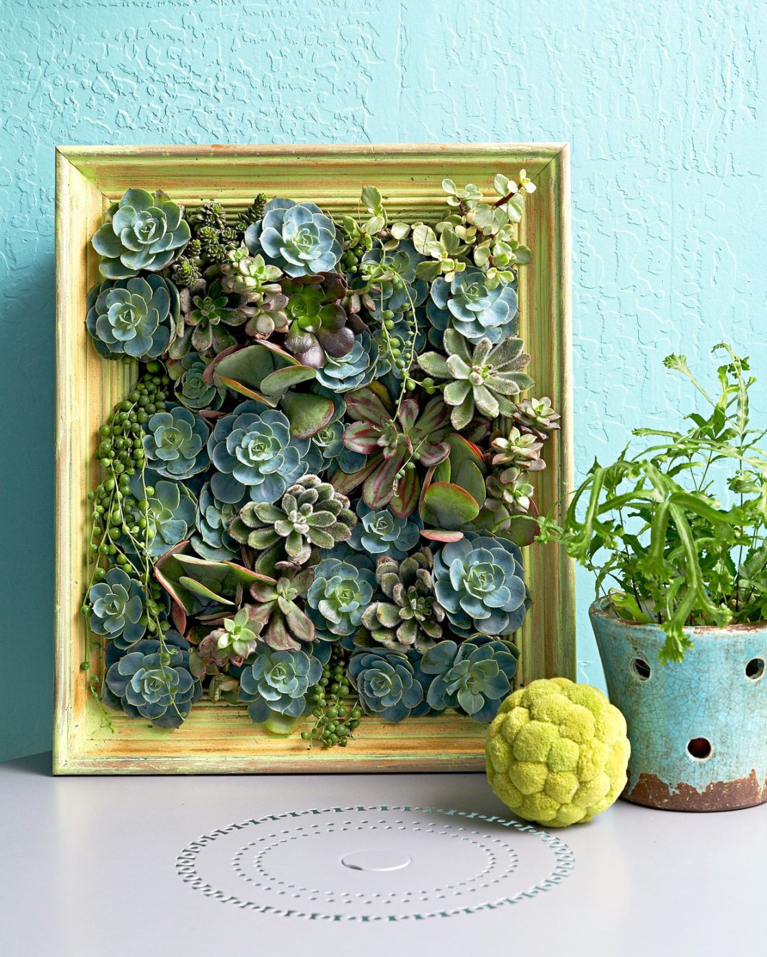 Succulent Wall Art: A Touch Of Nature