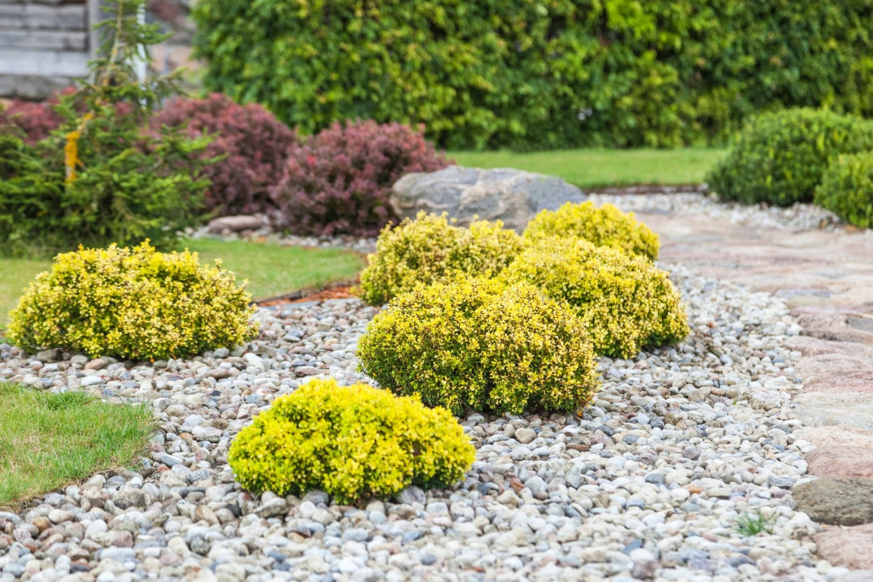 Low Maintenance Landscaping Ideas: Simplify Your Outdoor Space