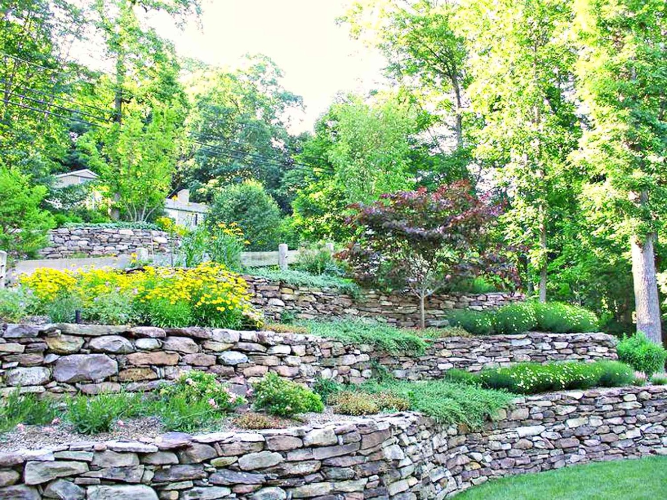 Hillside Landscaping Ideas: Transforming Slopes Into Stunning Outdoor Spaces