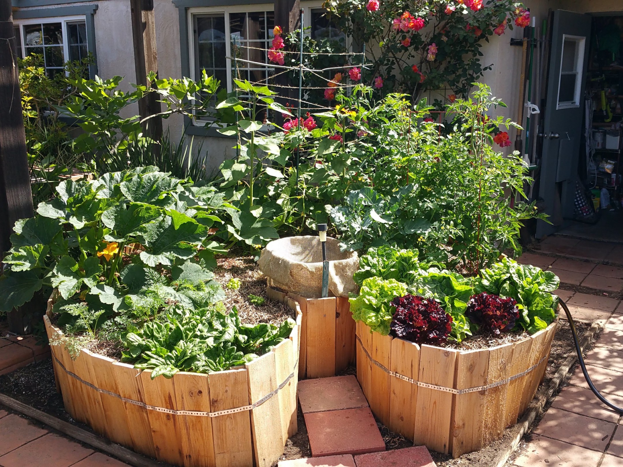 Small Vegetable Garden Ideas: Grow More In Less Space