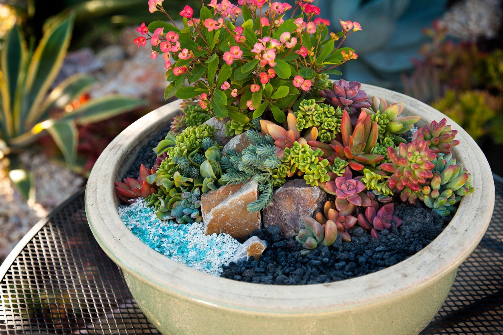 Succulent Planter Ideas