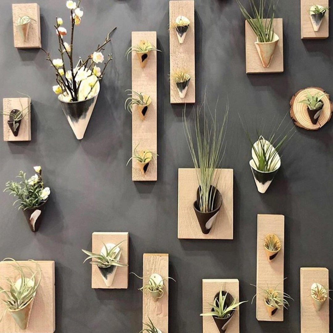 Plant Wall Ideas