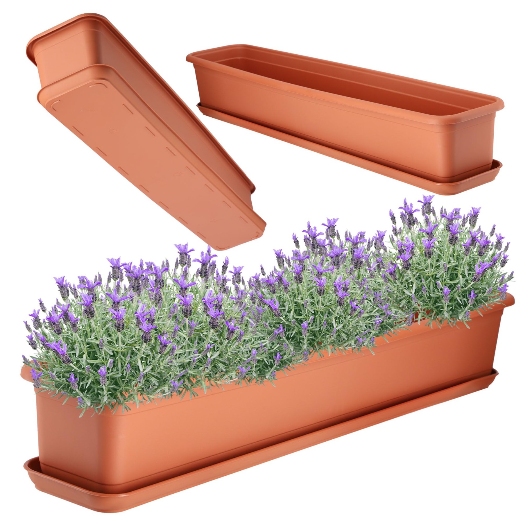 Patio Flower Boxes: A Blooming Guide To Outdoor Beauty