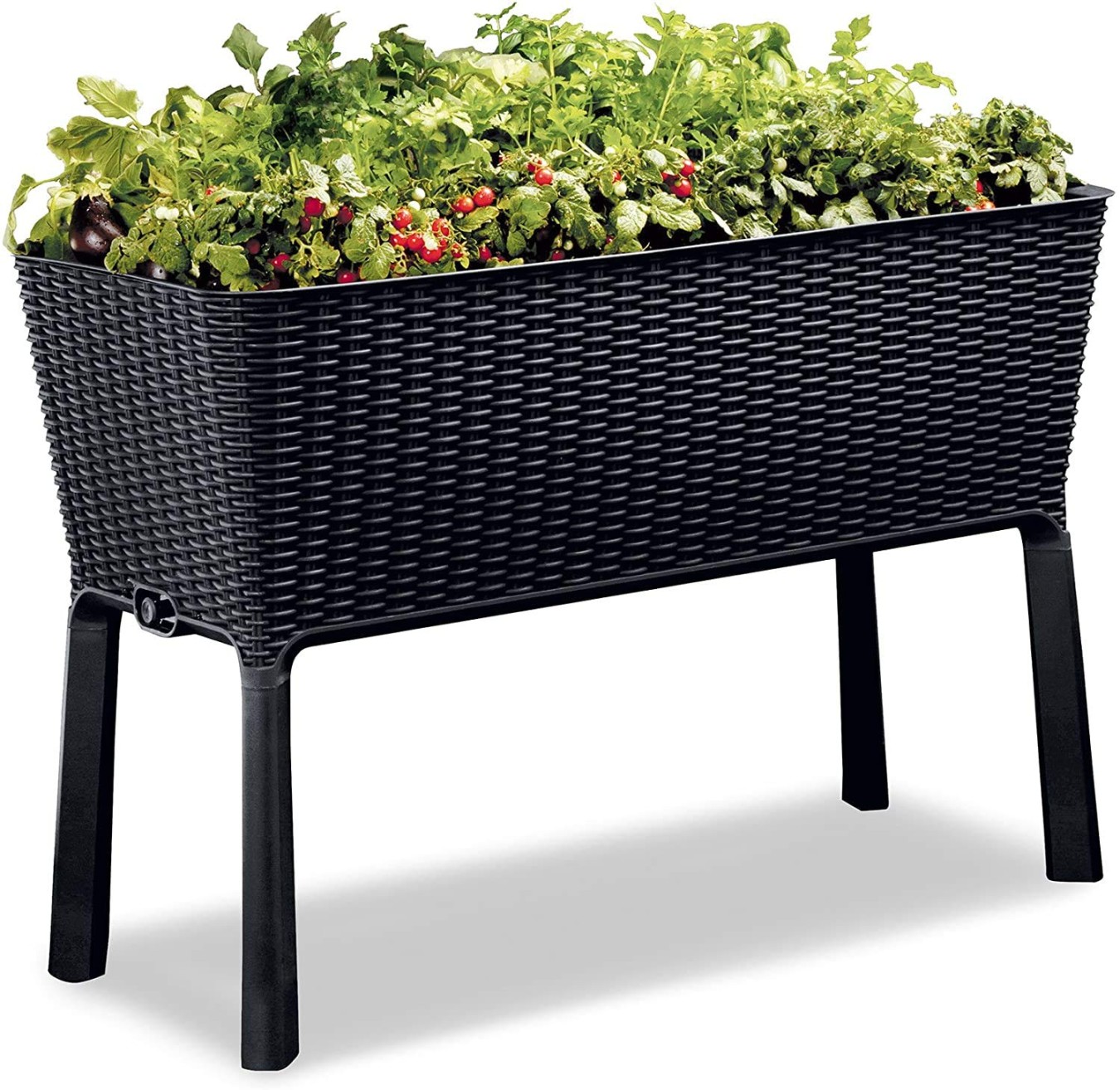 Keter Raised Bed: Elevate Your Gardening Experience