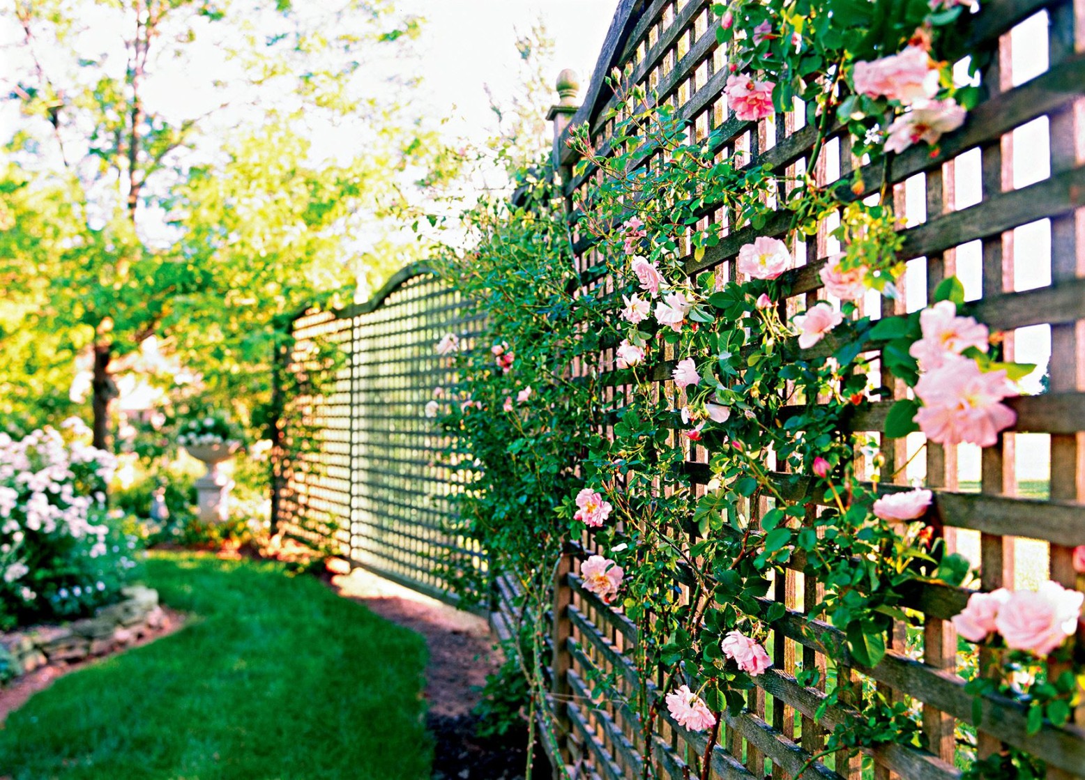 Decorative Fence Ideas: Elevate Your Outdoor Space