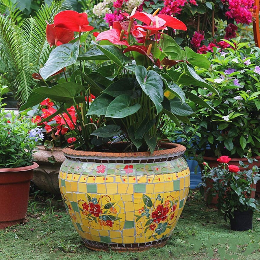 Large Ceramic Flower Pots: Elevate Your Outdoor Space