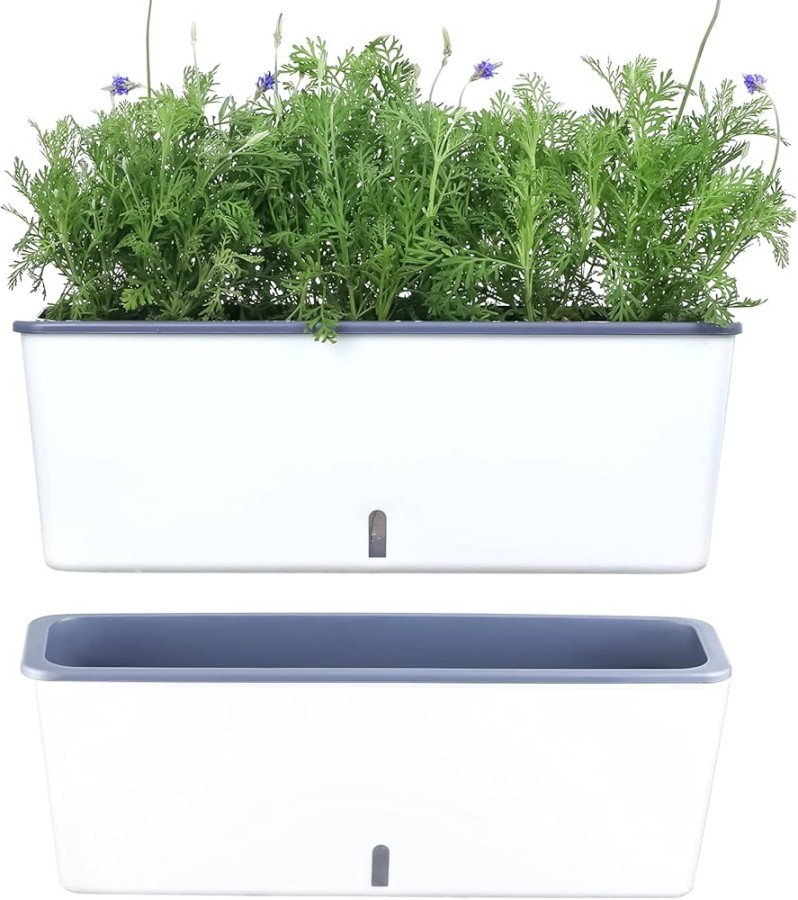 Rectangular Flower Pots: A Versatile Choice For Your Garden