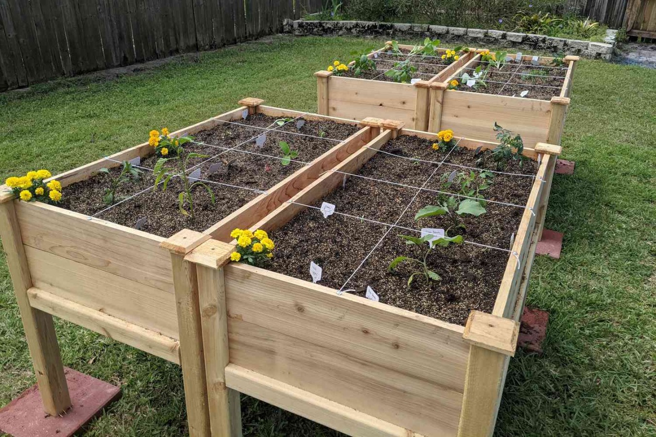 Planting Raised Garden Beds: A Step-by-Step Guide