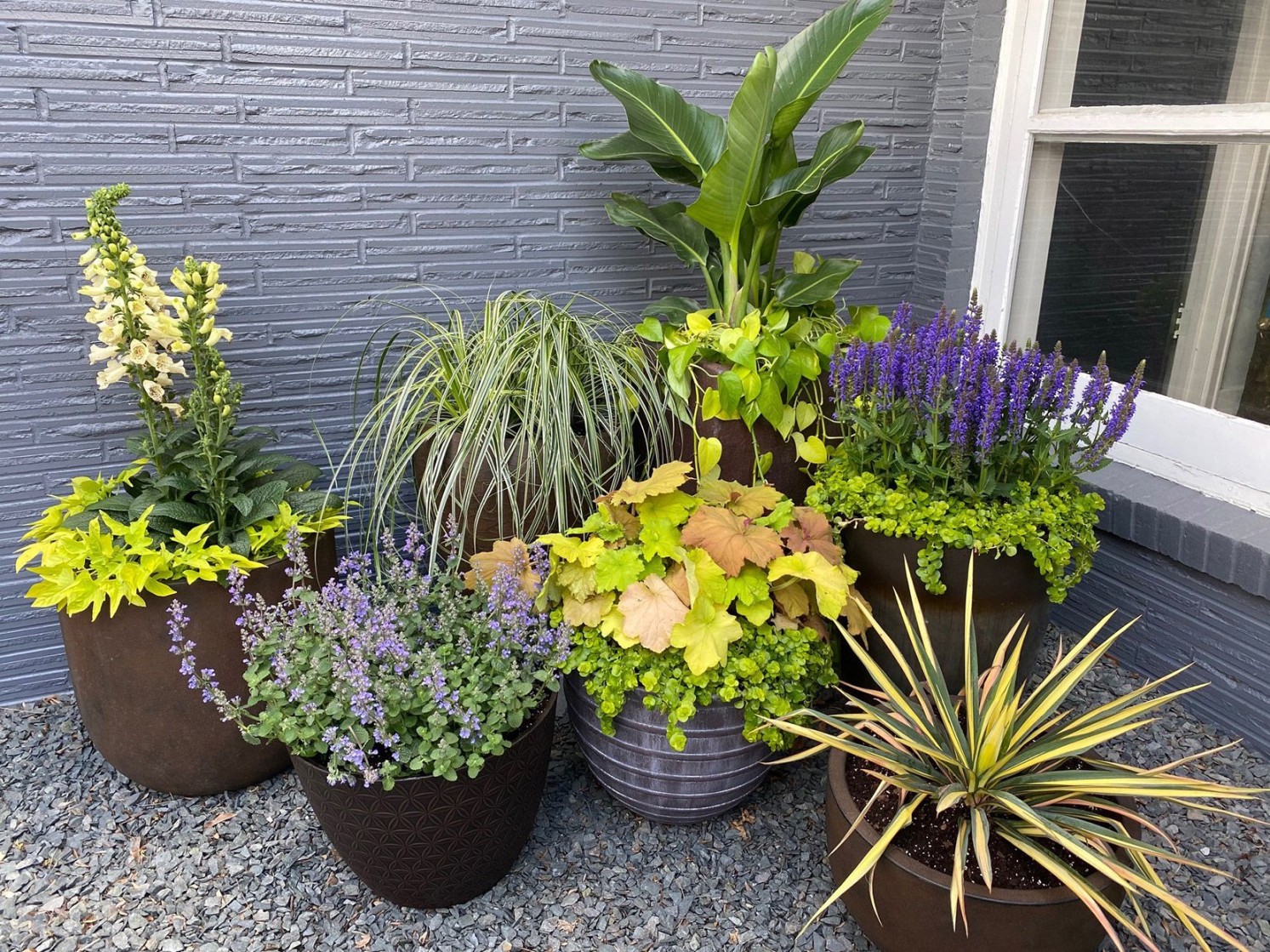 Potted Plant Arrangement Ideas: Elevate Your Indoor Spaces