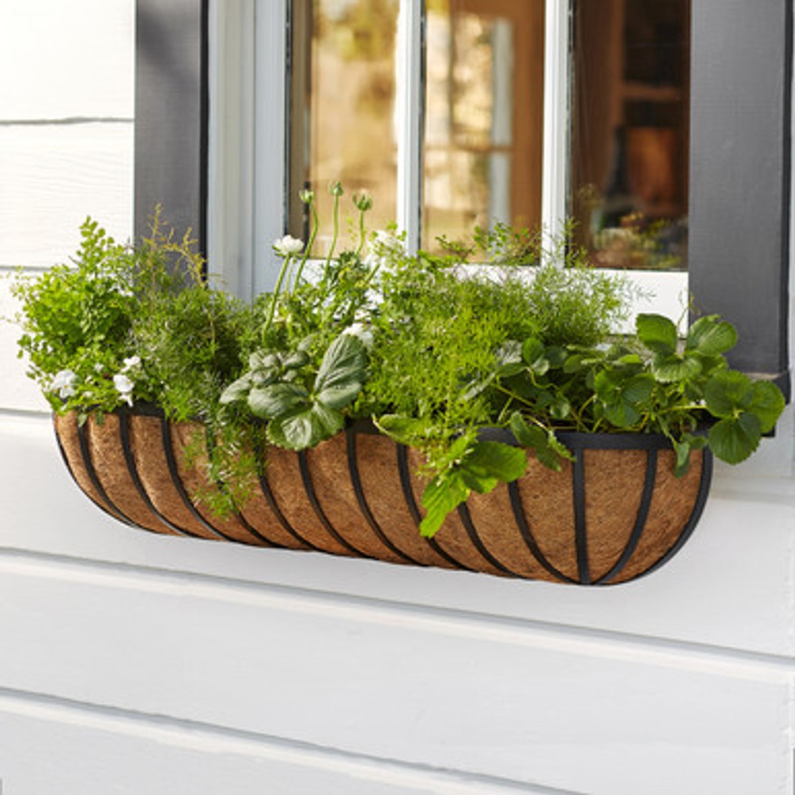 Hanging Window Planter: A Vertical Garden For Your Home