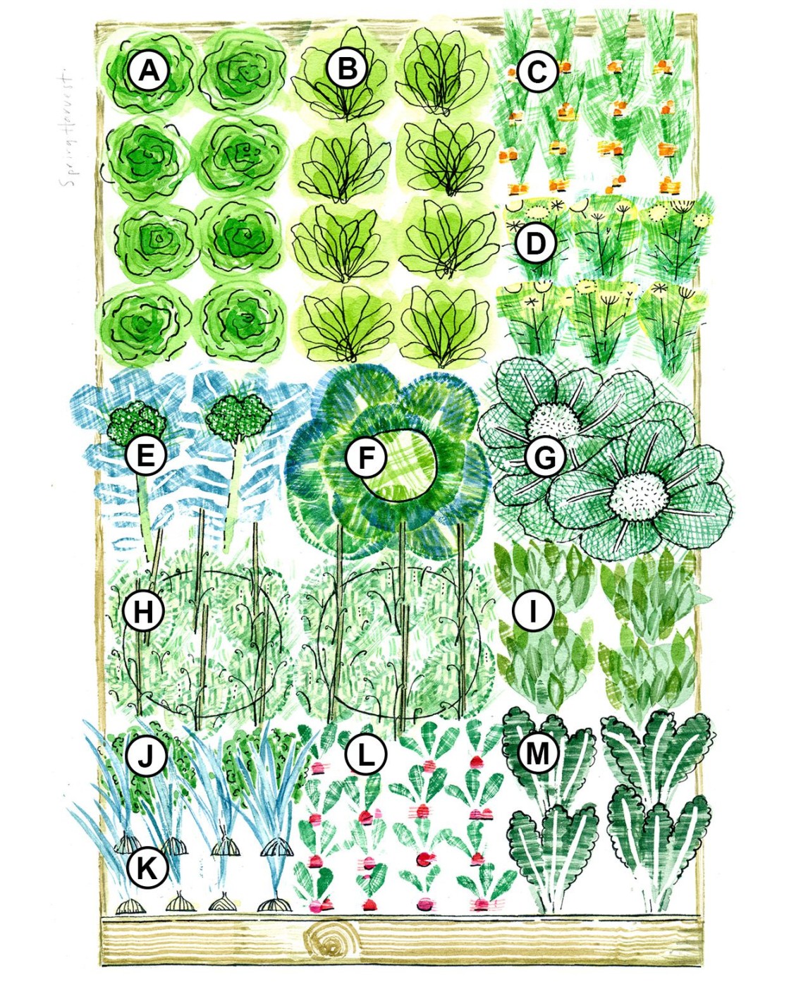 Raised Bed Vegetable Garden Layout: A Comprehensive Guide