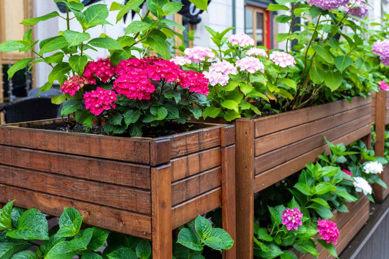 Raised Flower Bed Designs: Elevate Your Garden