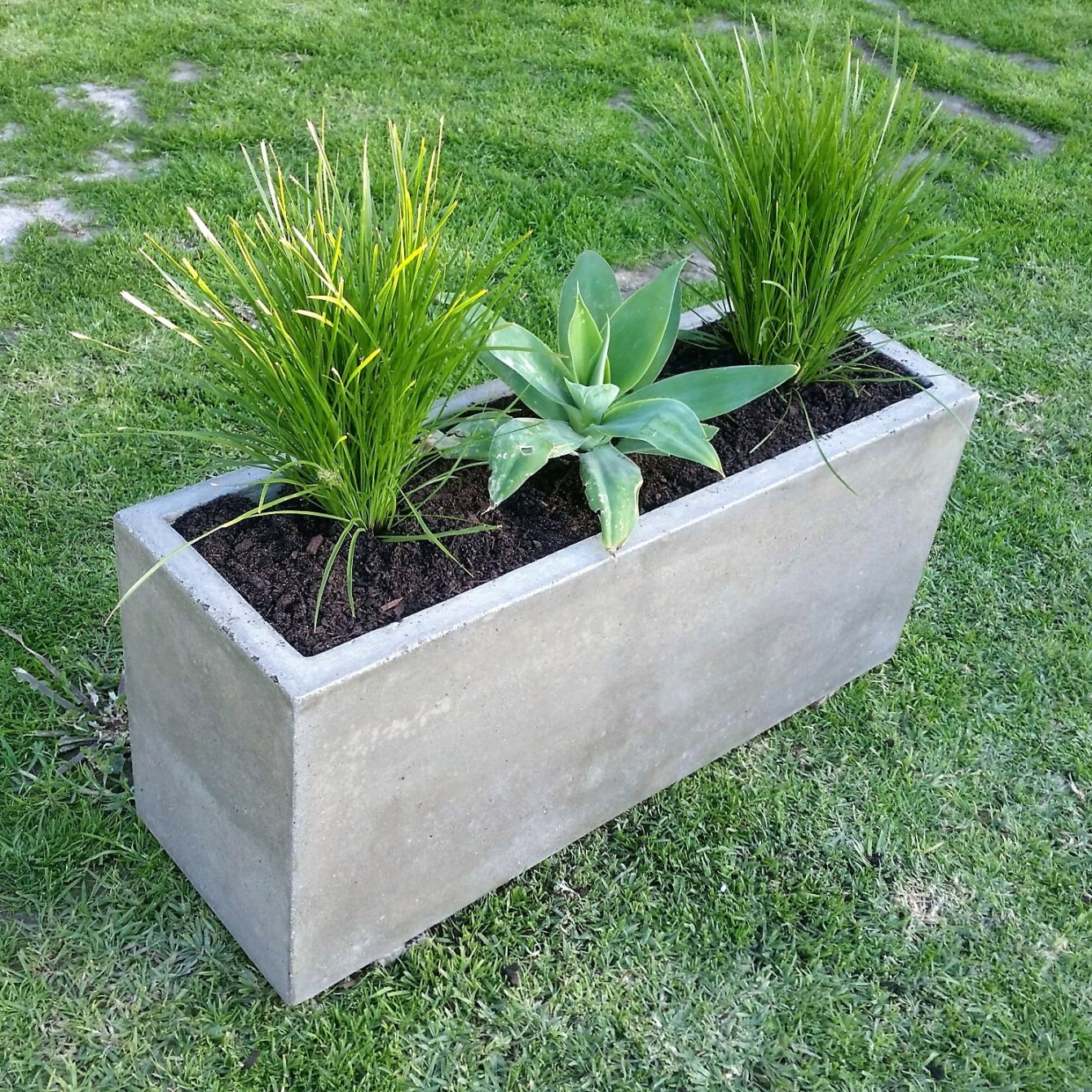 Concrete Planter Boxes: A Modern Gardening Solution