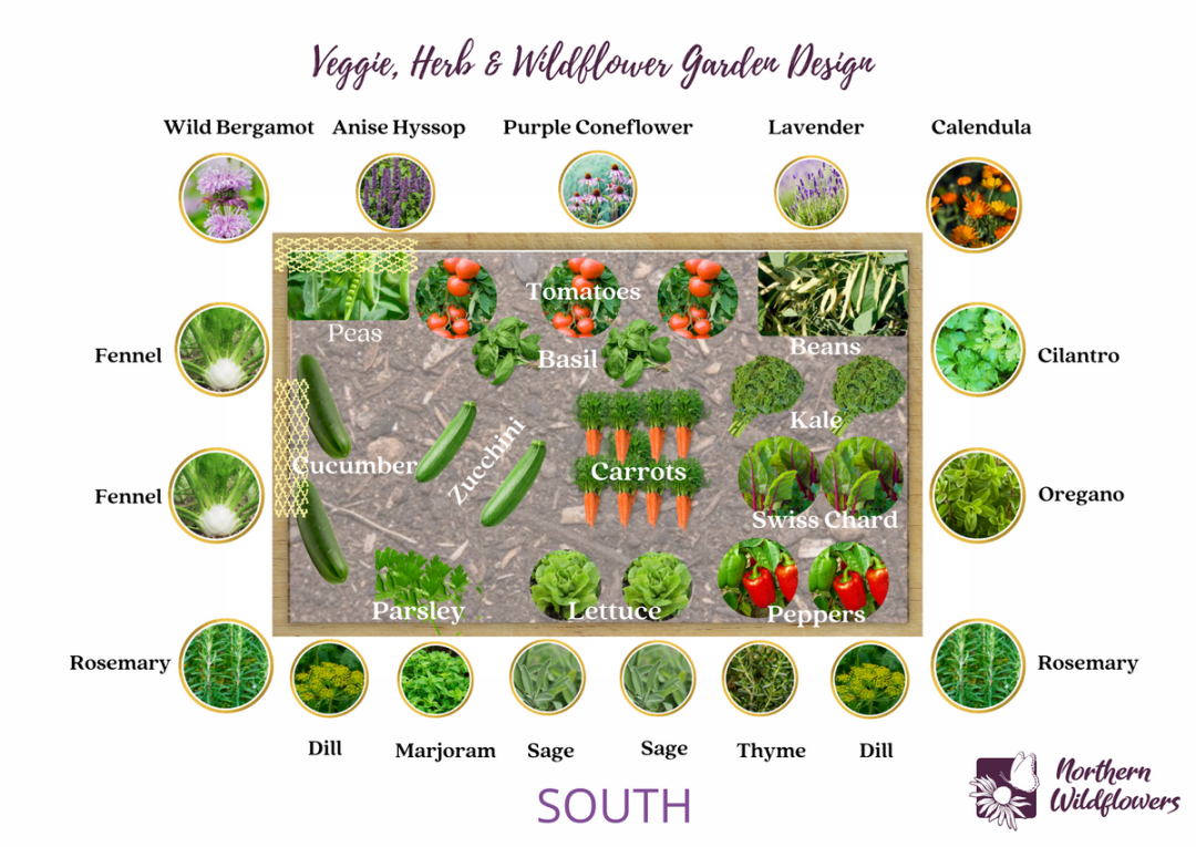 Raised Garden Layout: A Comprehensive Guide