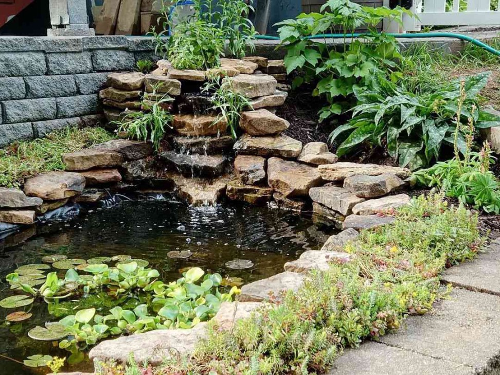 DIY Pond Waterfall Ideas: Transform Your Backyard Oasis