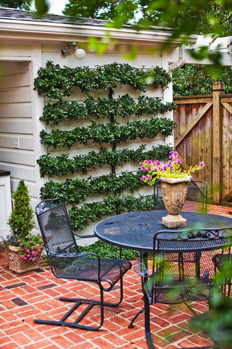 Garden Ideas For Small Spaces: Maximizing Your Outdoor Oasis