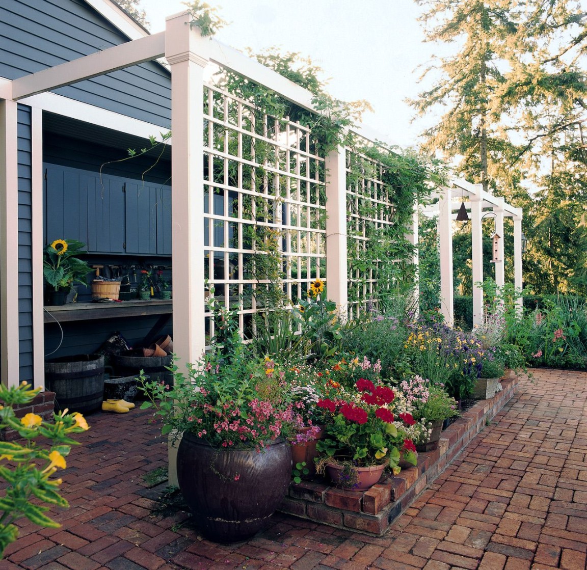 Trellis Ideas: Your Vision, Our Solutions