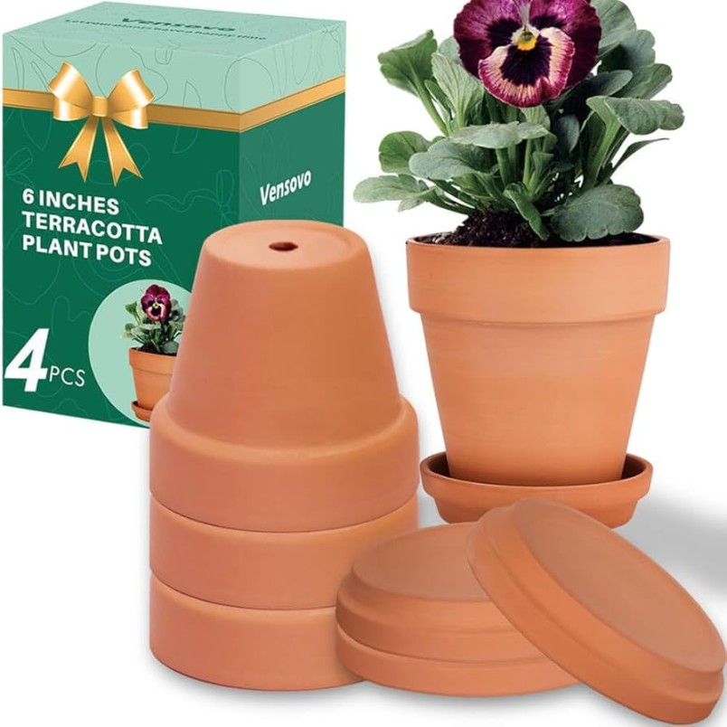 Flower Clay Pot: A Blooming Beauty