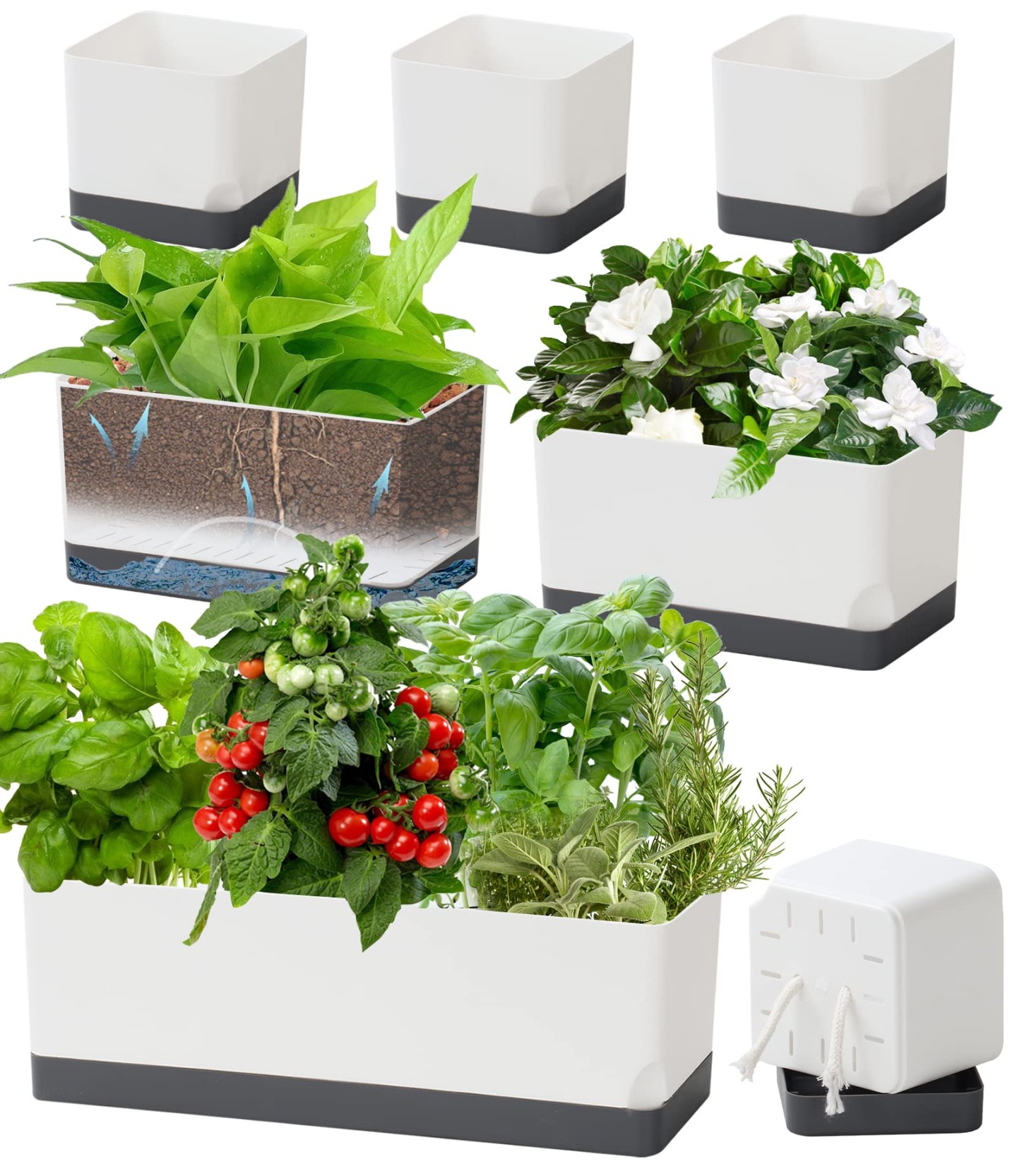 Plastic Plant Box: Your Garden’s New Home