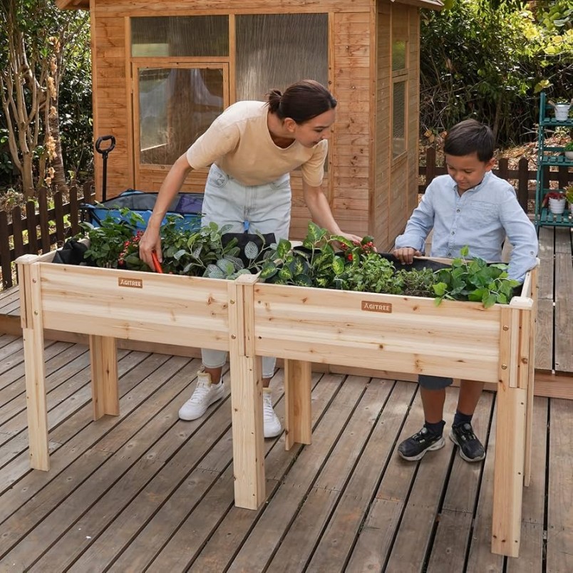 Small Raised Garden Bed: A Beginner’s Guide