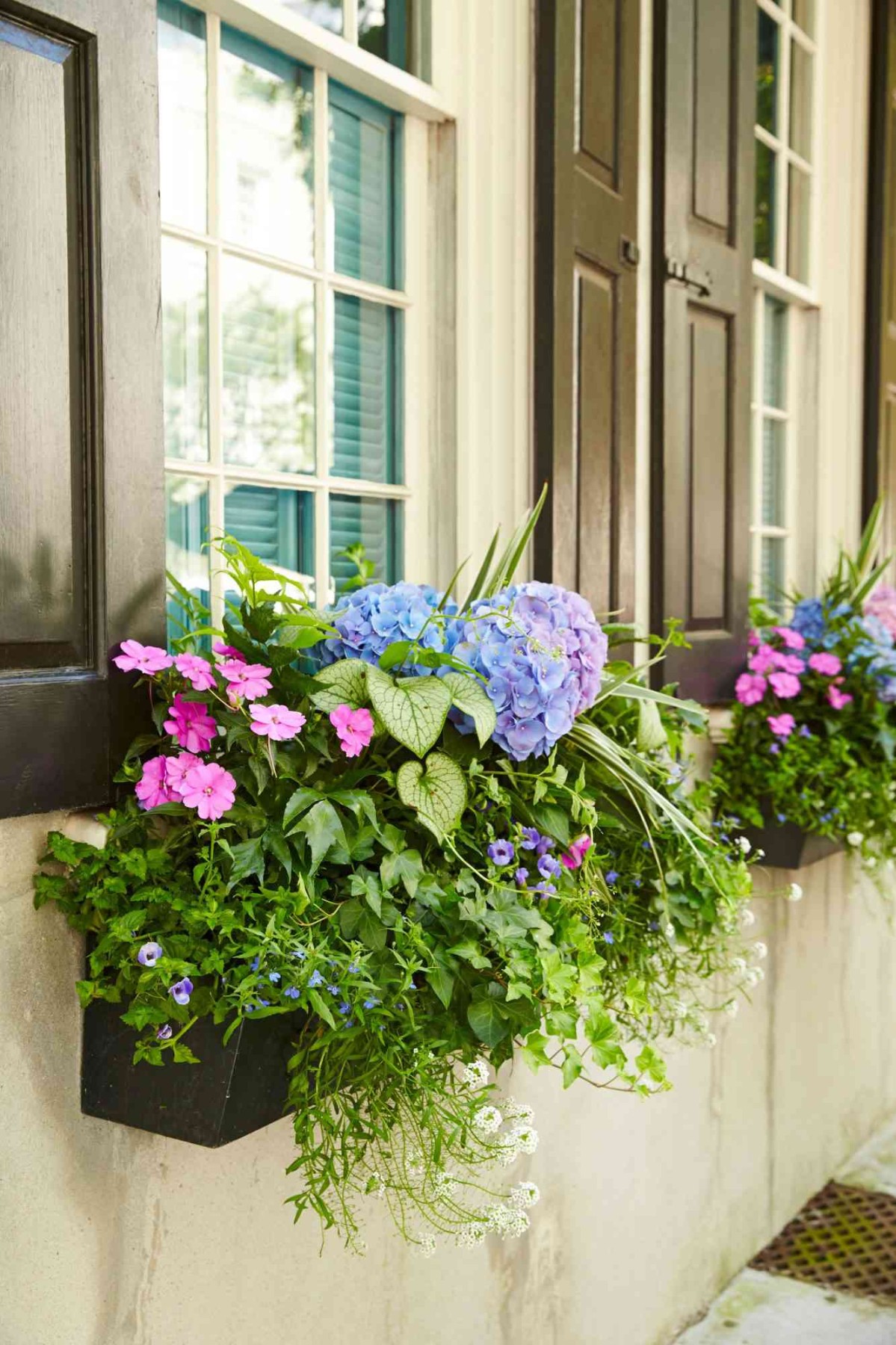 Window Box Ideas