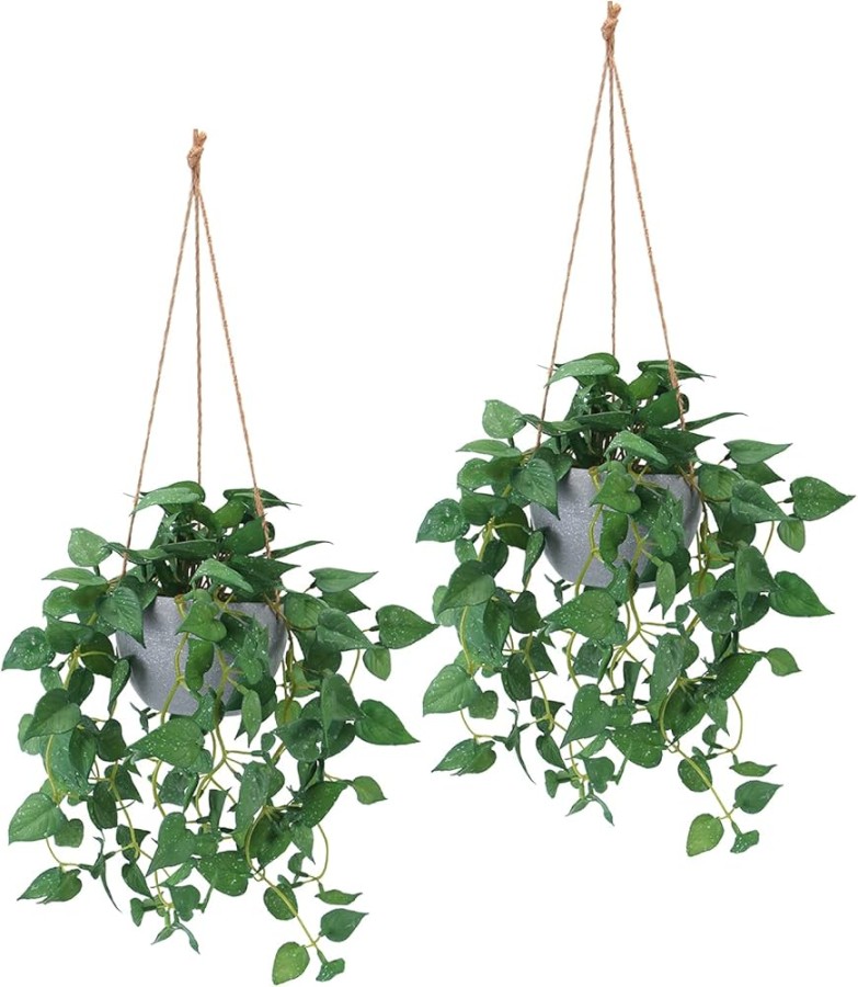 Hanging Fake Plants: A Greener Home, Effortlessly