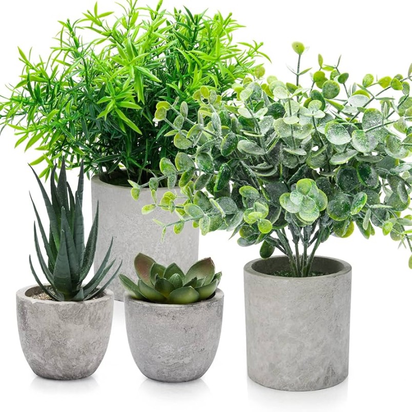 Plastic Plants: A Timeless Touch Of Green